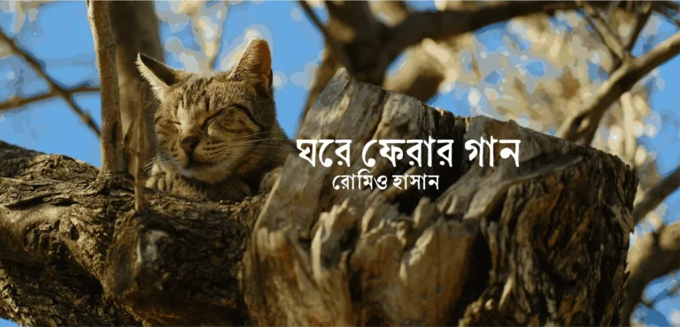 ঘরে ফেরার গান